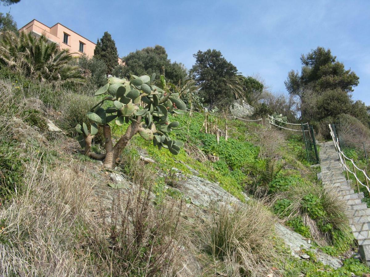 Apartmán Casa Delle Mimose Varazze Exteriér fotografie